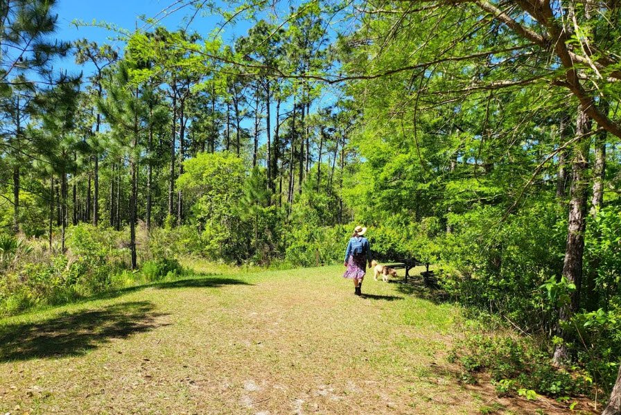 UCF Arboretum, United States
